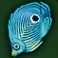 Prismatic moray